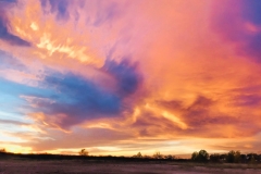 8412 Spicewood Springs China-large-005-3-Sunset 2-1334x1000-72dpi